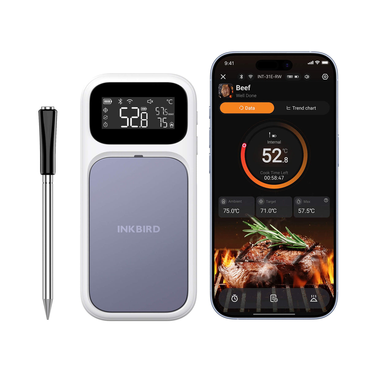 Sub-1G Meat Thermometer INT-31E-RW
