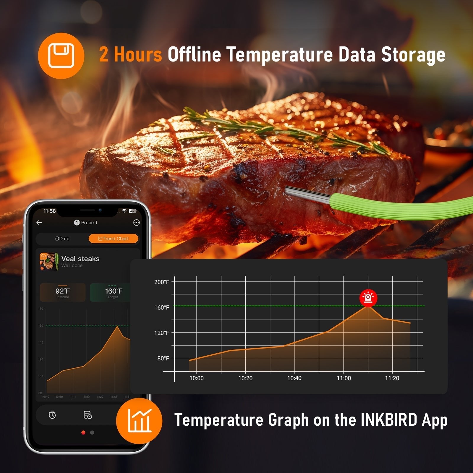 Bluetooth BBQ Thermometer IDT - 22 - B - INKBIRD
