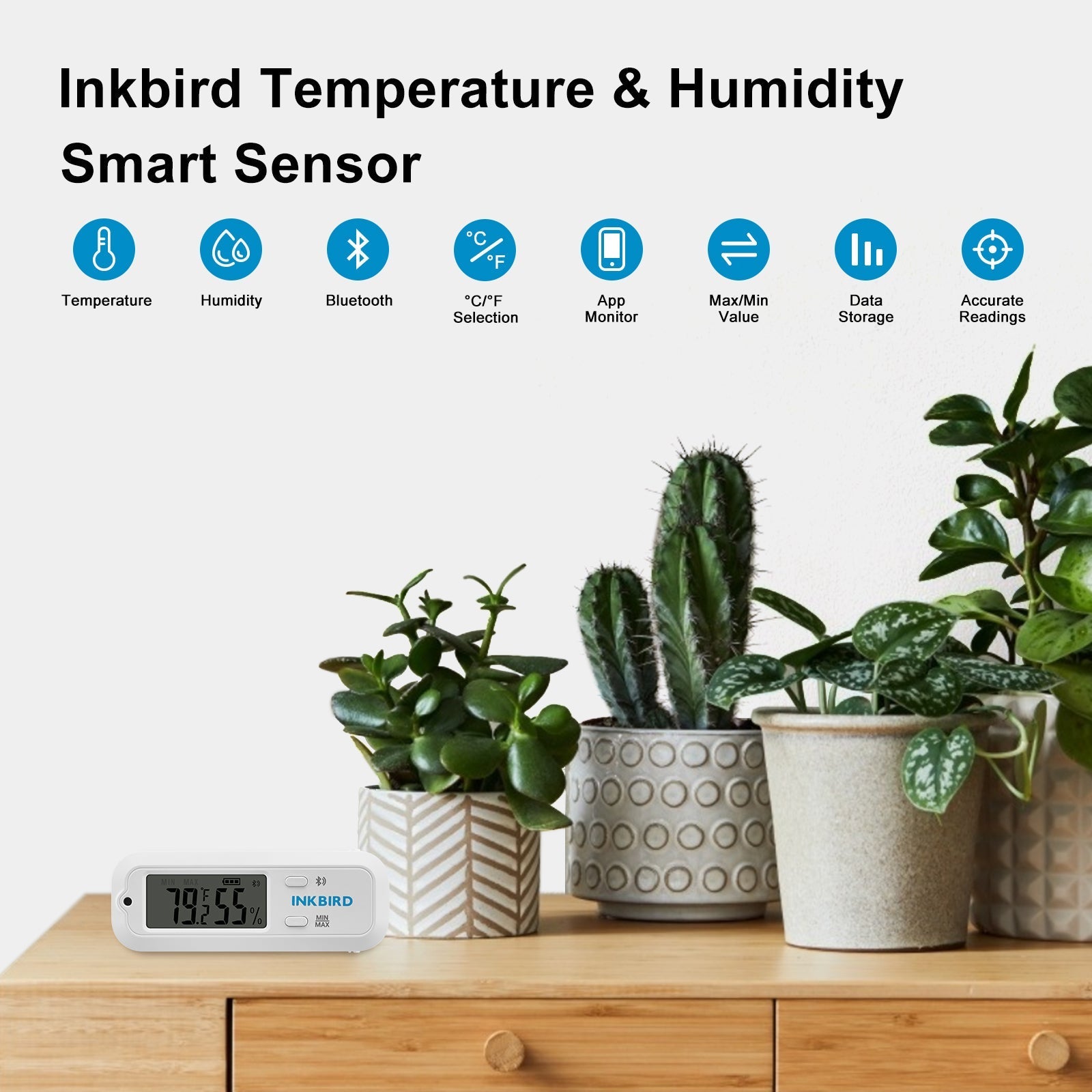 Bluetooth Digital Hygrometer Thermometer ITH - 12S - INKBIRD