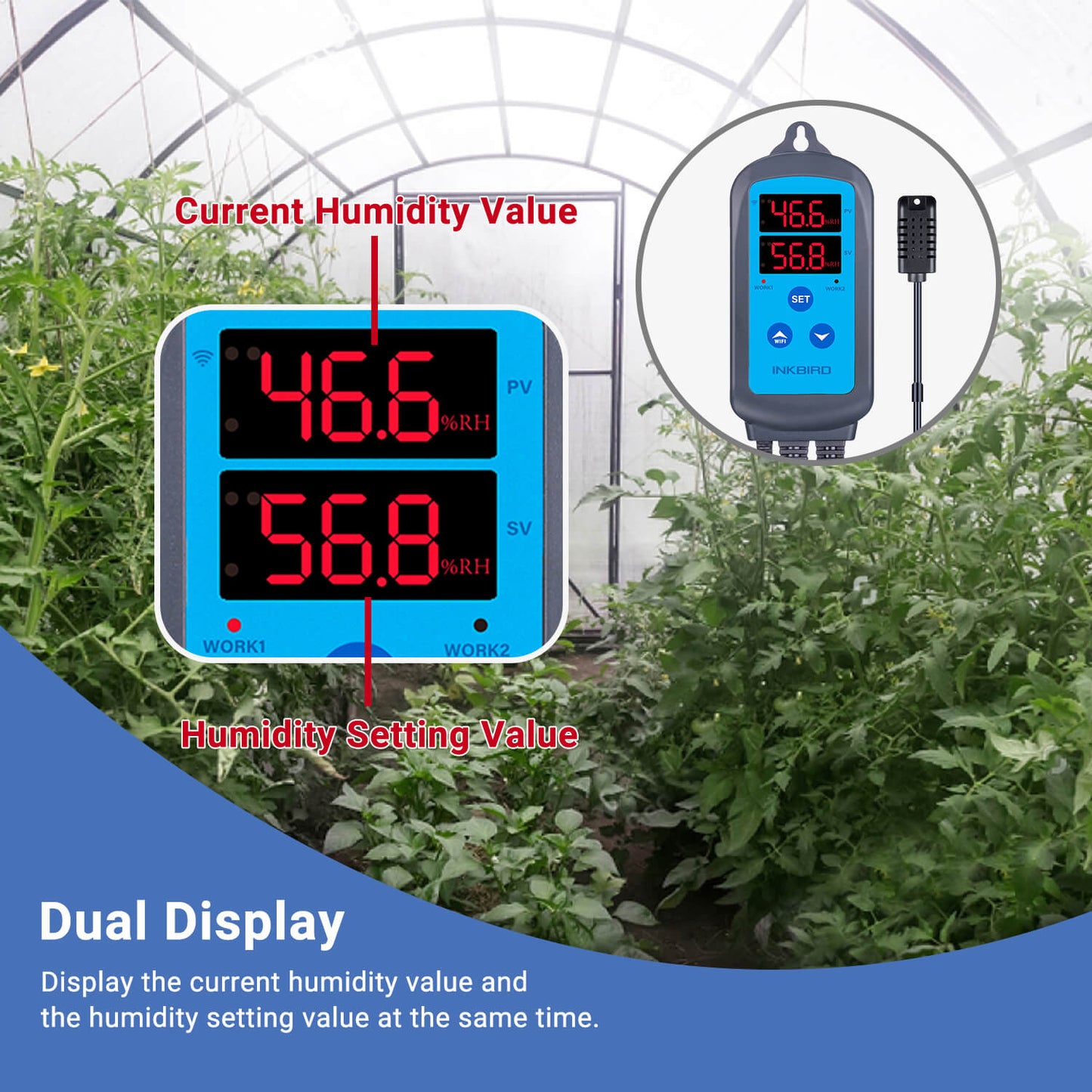 Humidity Controller IHC-200-WIFI