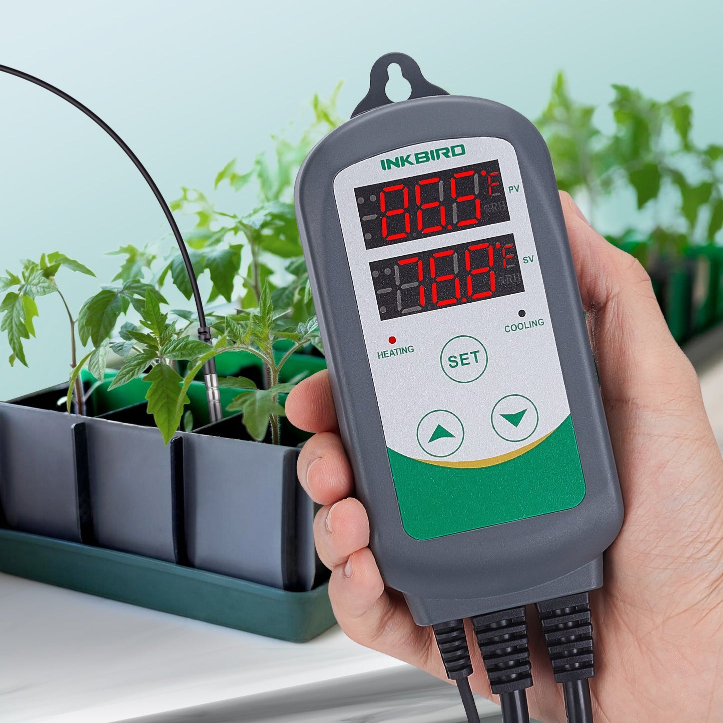 Temperaturregler ITC-308