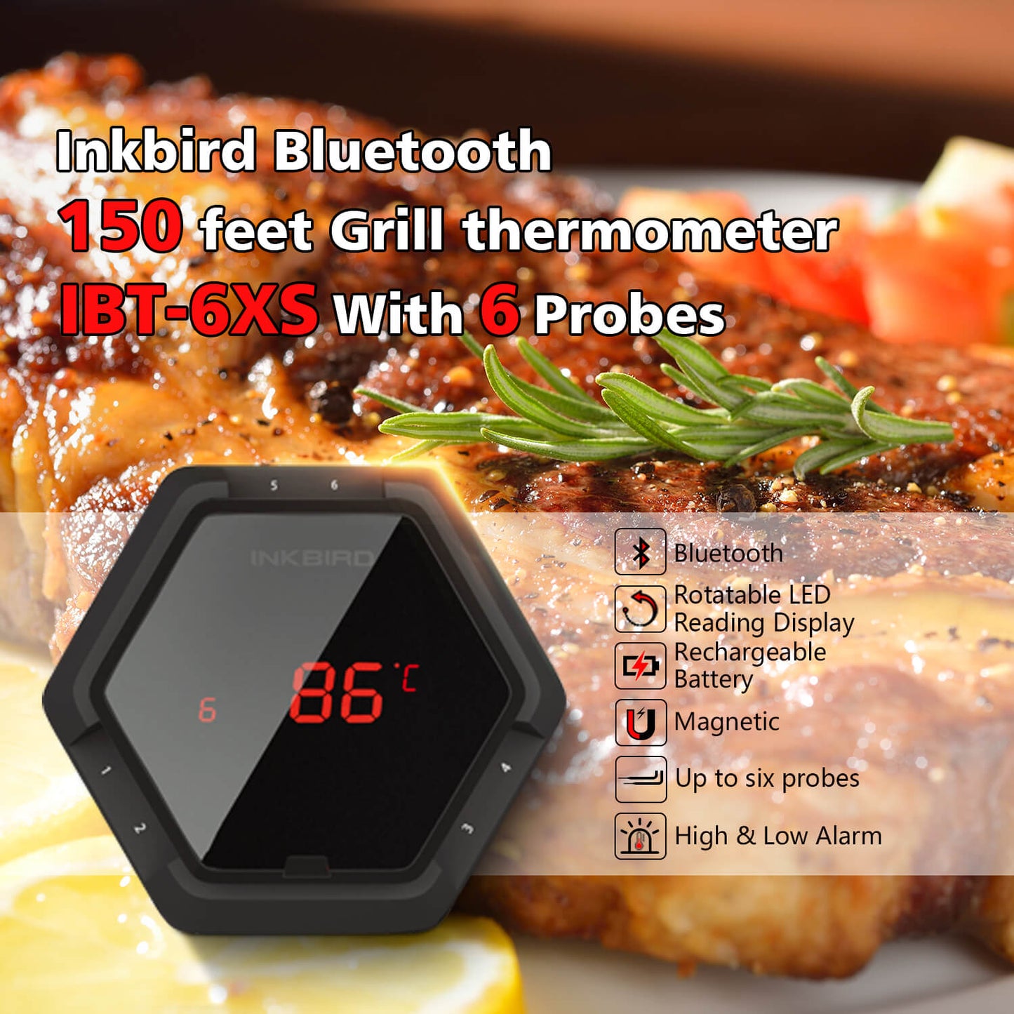 Bluetooth-Grillthermometer IBT-6XS
