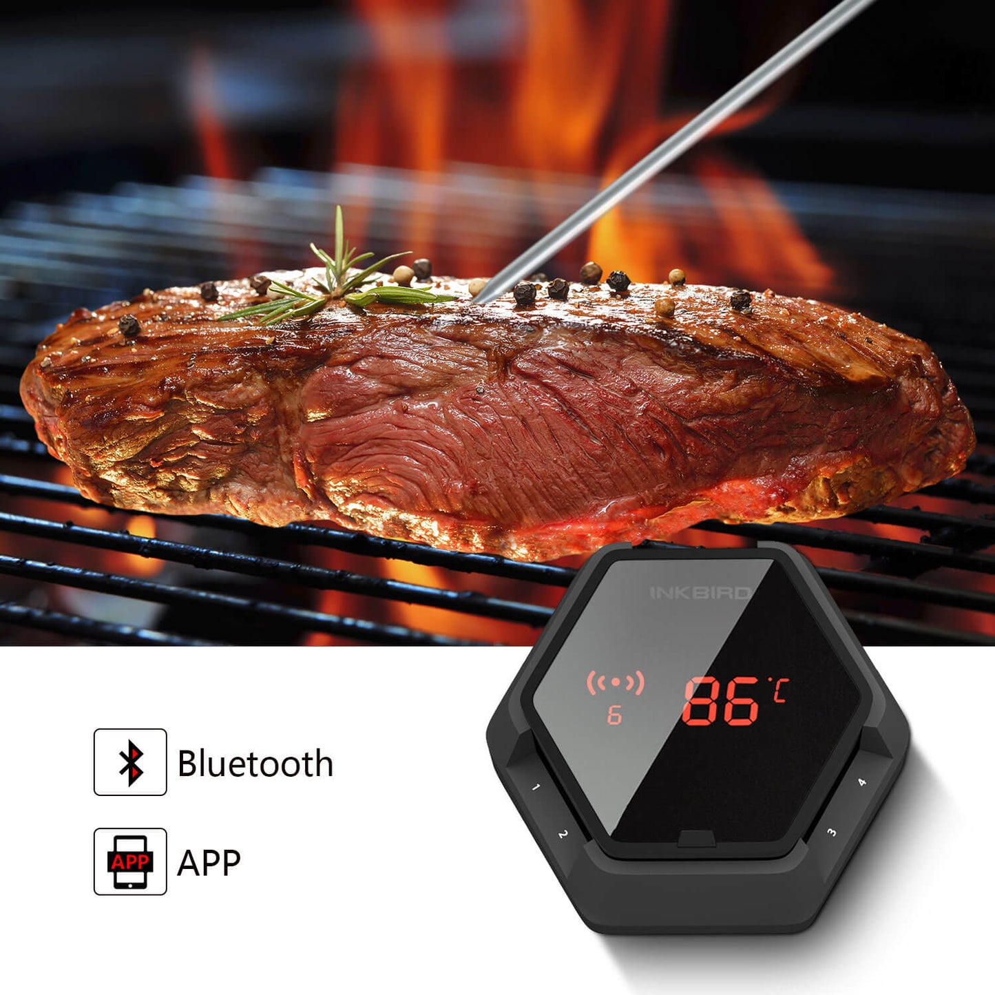 Bluetooth-Grillthermometer IBT-6XS