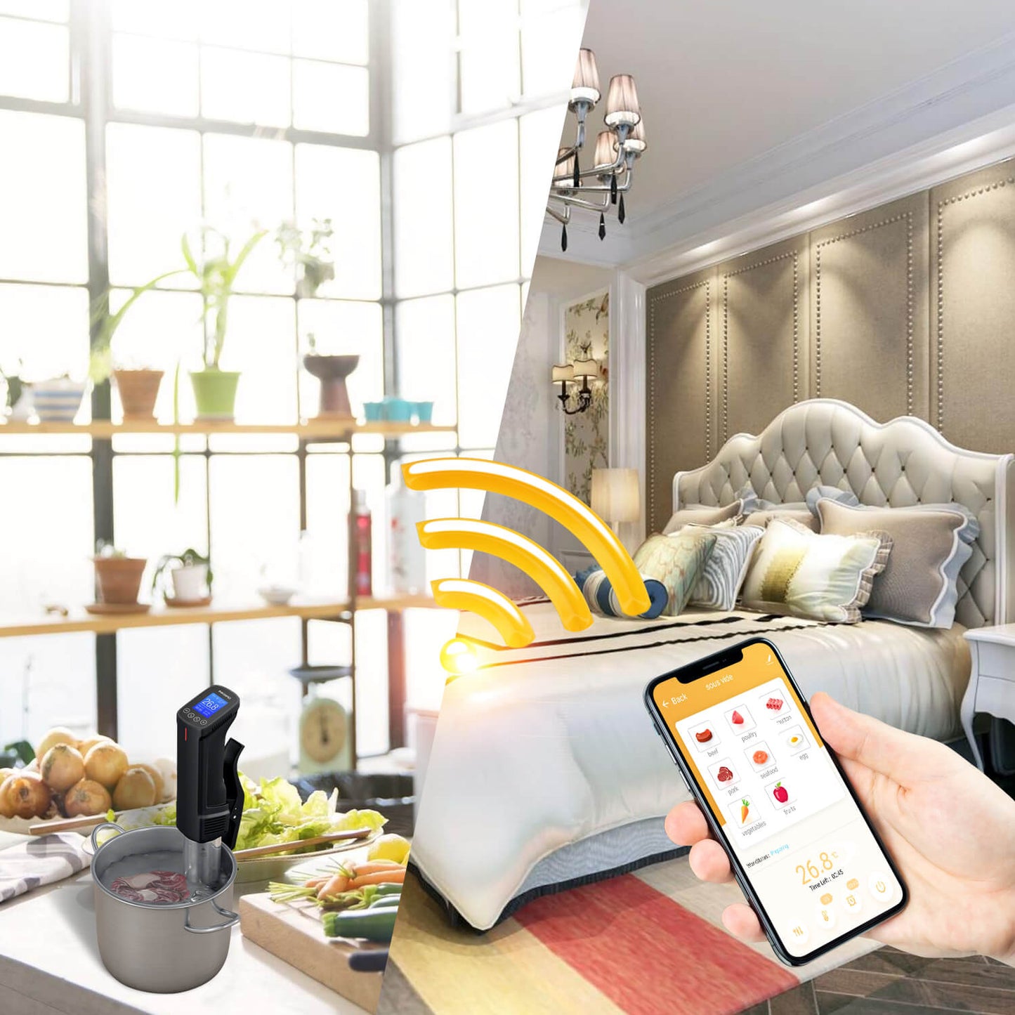 WiFi Sous Vide Garer ISV-100W