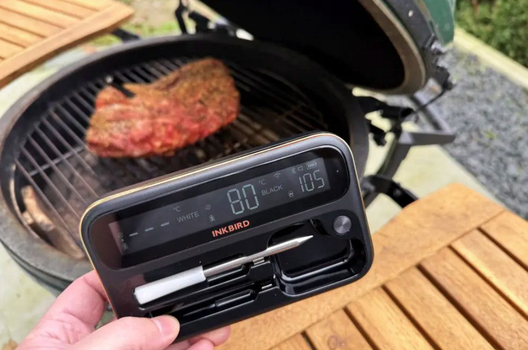 INT-12-BW Meat Thermometer Review