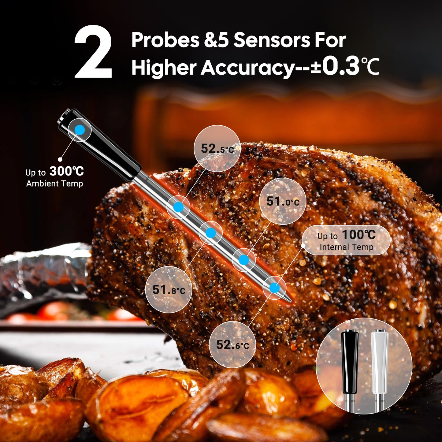 Wireless Dual Mode Multi-Sensor Meat Thermometer INT-12E-BW