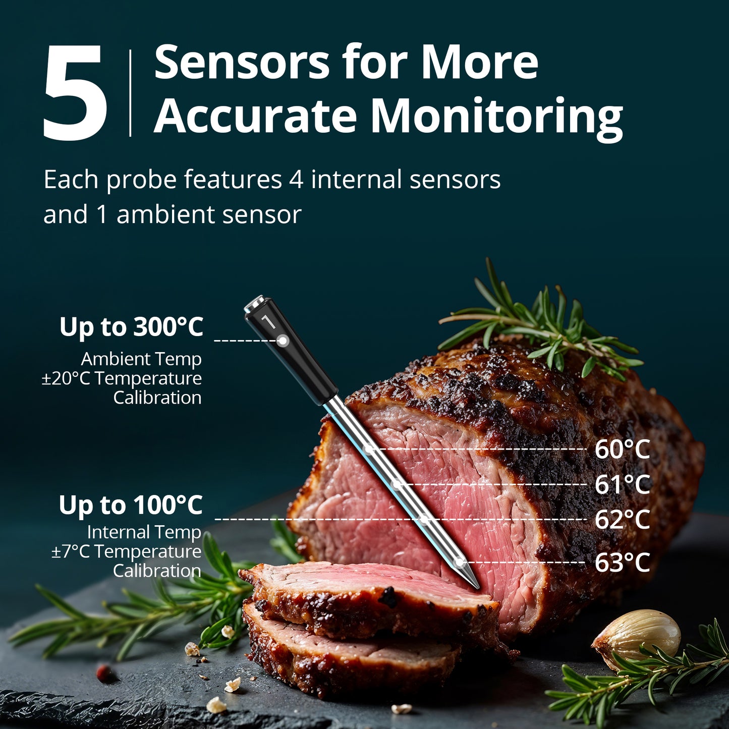 Meat Thermometer Pro INT-14S-BW
