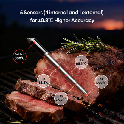 NIST-Certified WiFi & Bluetooth Meat Thermometer INT-31-BW