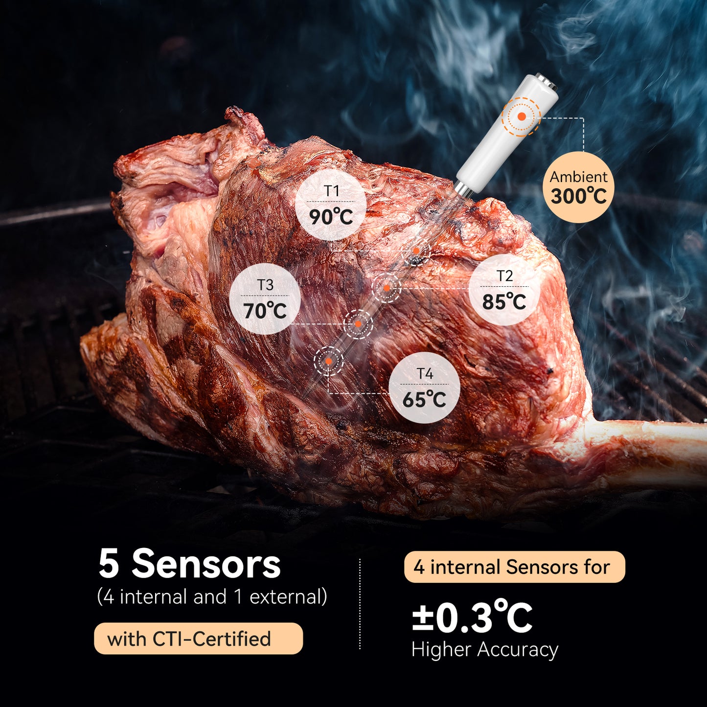 CTI-Certified Multi-Sensor Bluetooth Meat Thermometer INT-11S-B