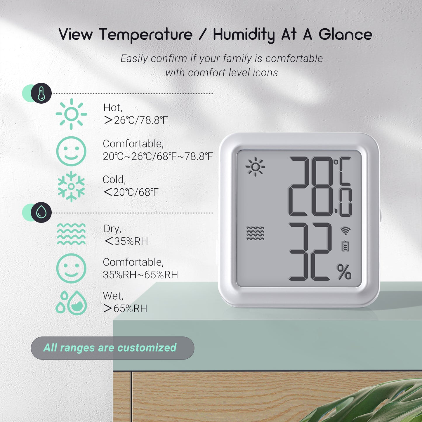 WiFi Hygrometer Thermometer IBS-TH3 WIFI PLUS
