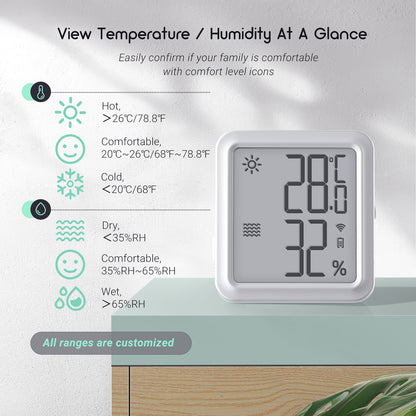WiFi Hygrometer Thermometer IBS-TH3 WIFI PLUS
