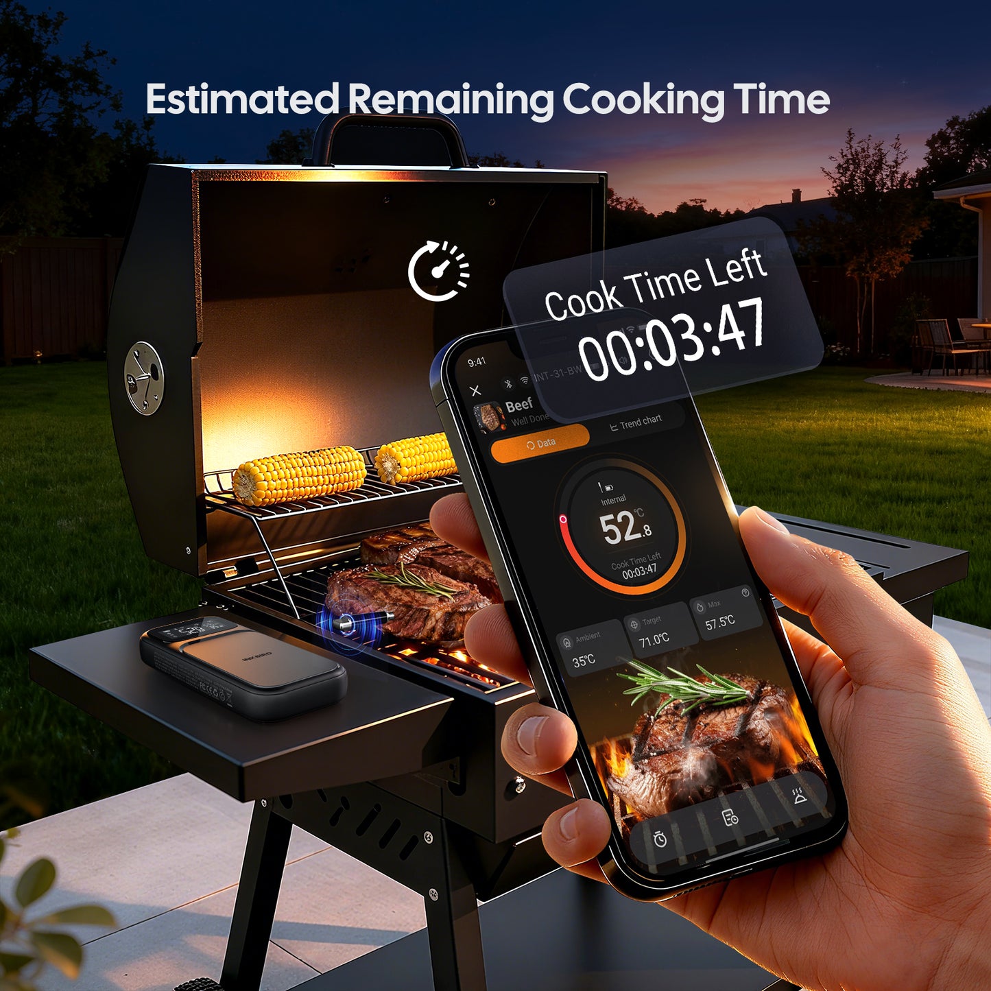 NIST-Certified WiFi & Bluetooth Meat Thermometer INT-31-BW