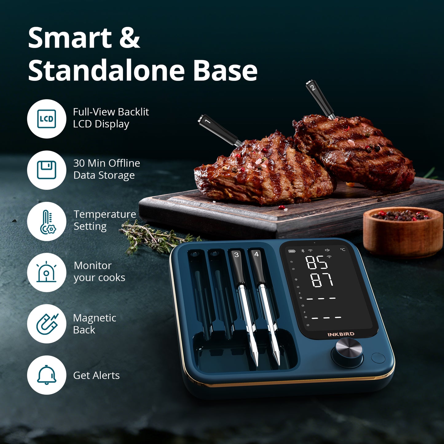 Meat Thermometer Pro INT-14S-BW