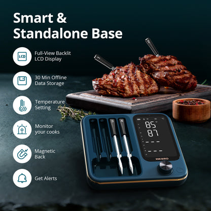 Meat Thermometer Pro INT-14S-BW