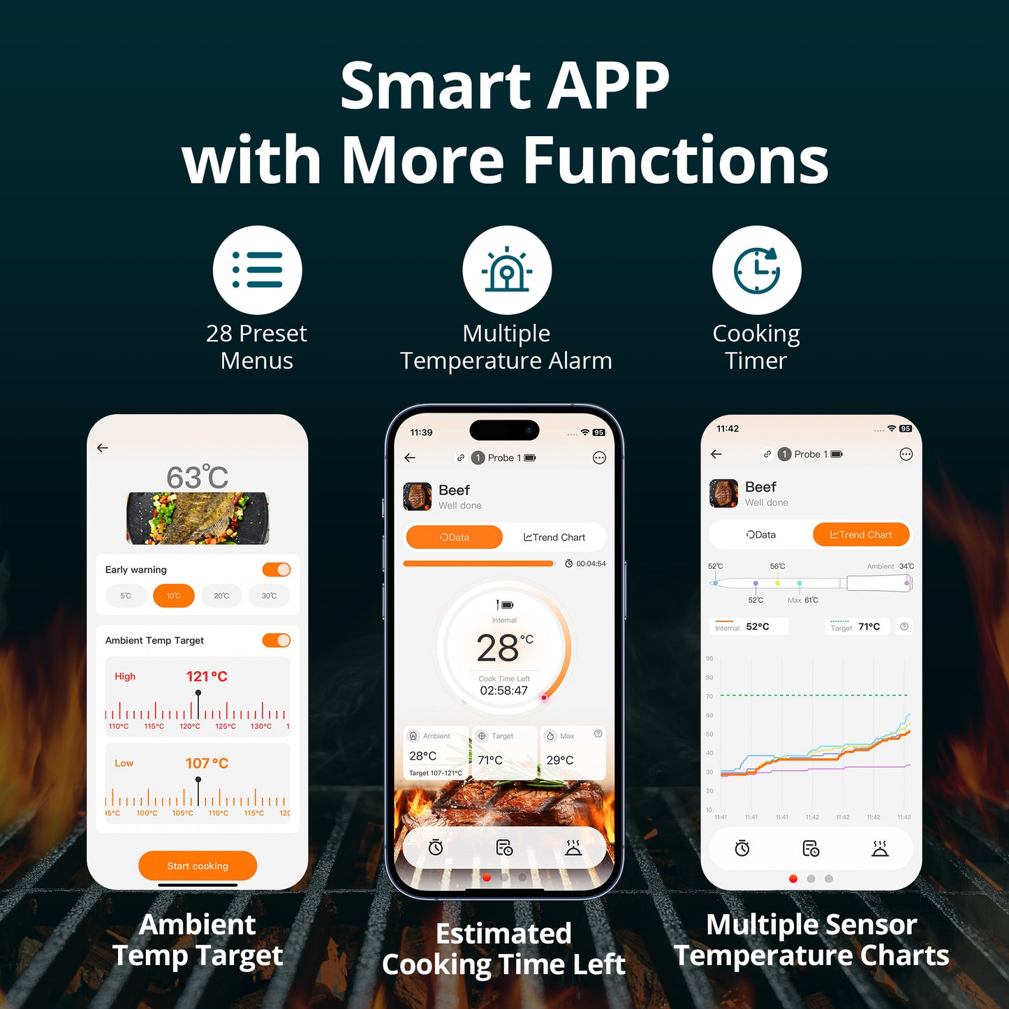 Meat Thermometer Pro INT-14S-BW