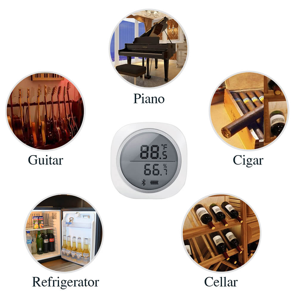 Bluetooth Hygrometer Thermometer IBS - TH1 - Plus - INKBIRD