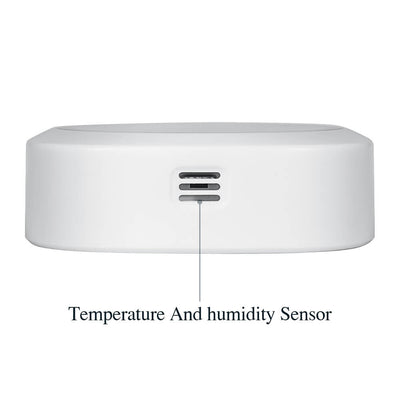Bluetooth Hygrometer Thermometer IBS - TH1 - Plus - INKBIRD