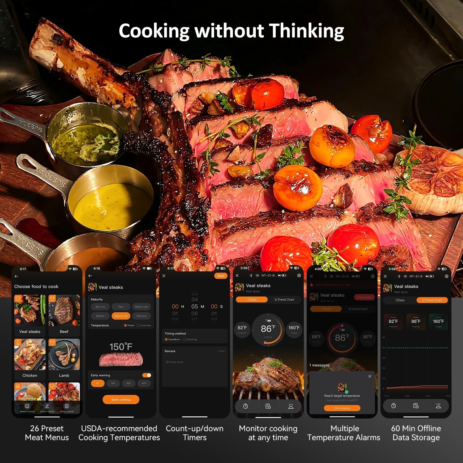 Bluetooth Meat Thermometer INT - 21 - B - INKBIRD