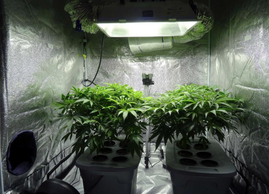 CO2 Controller on Greenhouse Tent