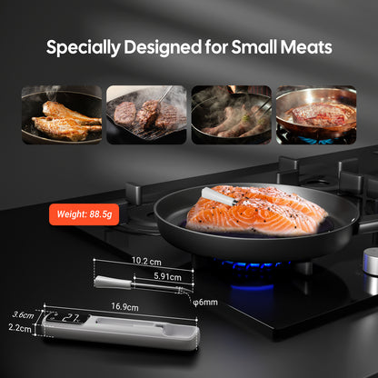 INT-11I-B Mini Meat Probe for Small Meats