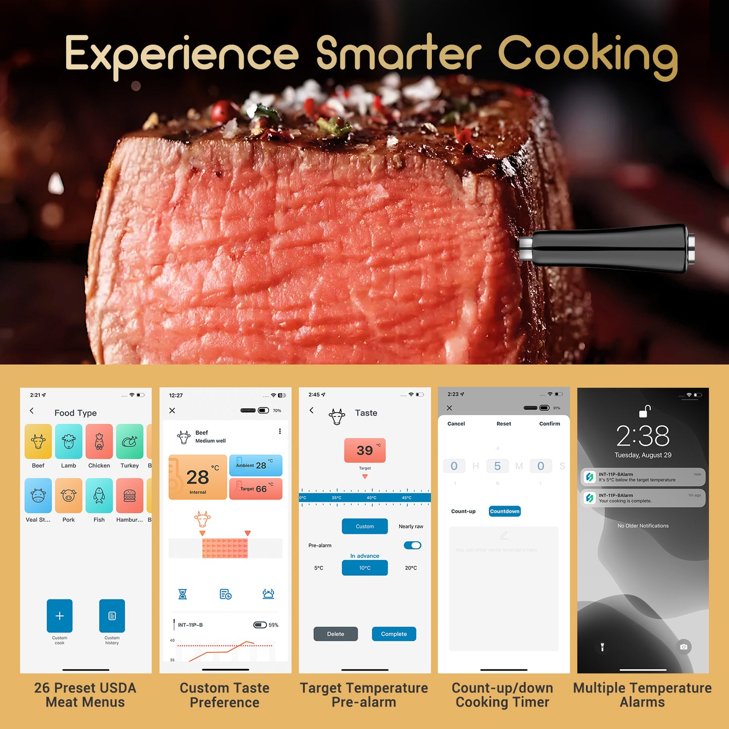 INT-11P-B Smart Thermometer App Interface