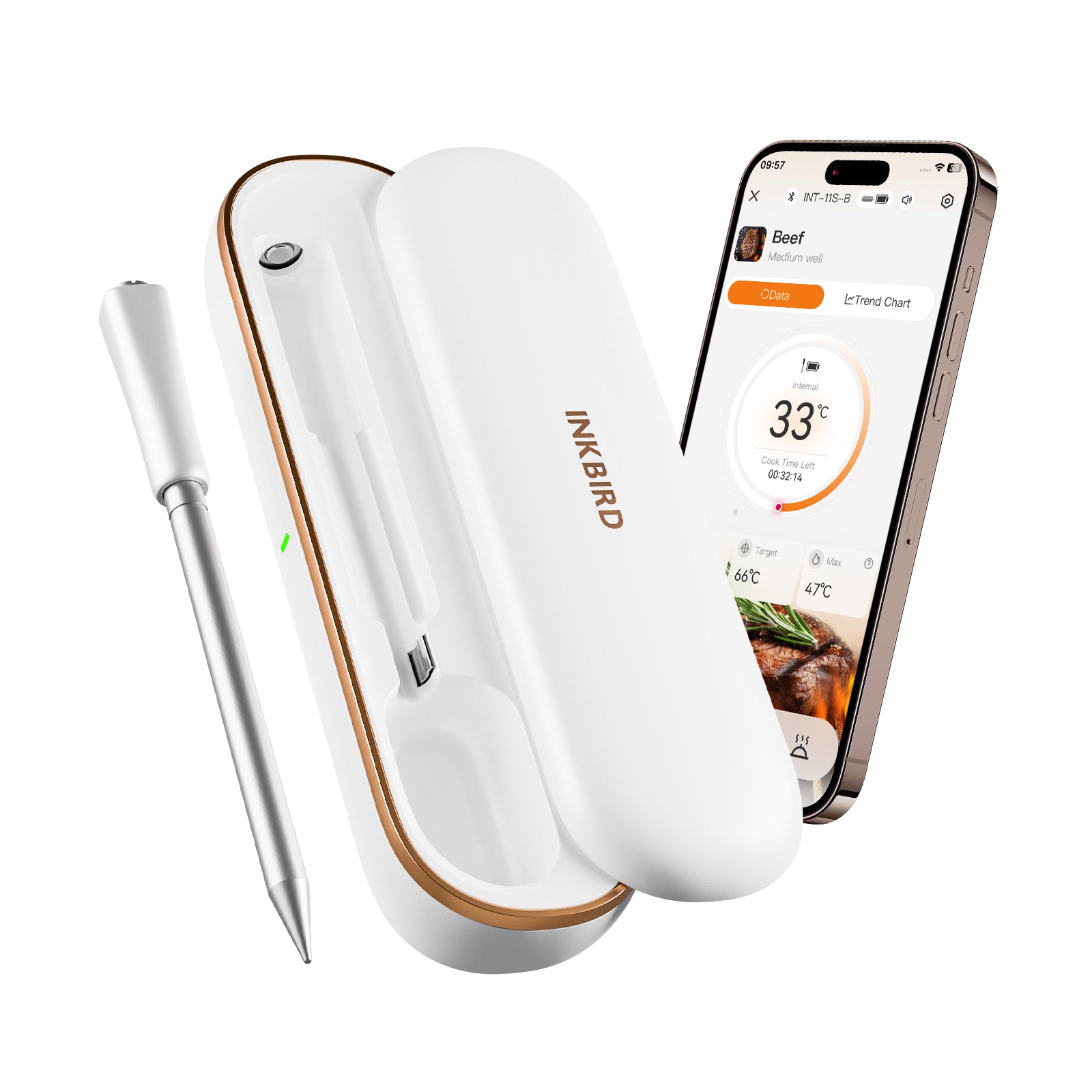 INT-11S-B Bluetooth Meat Thermometer with App and Probe Out