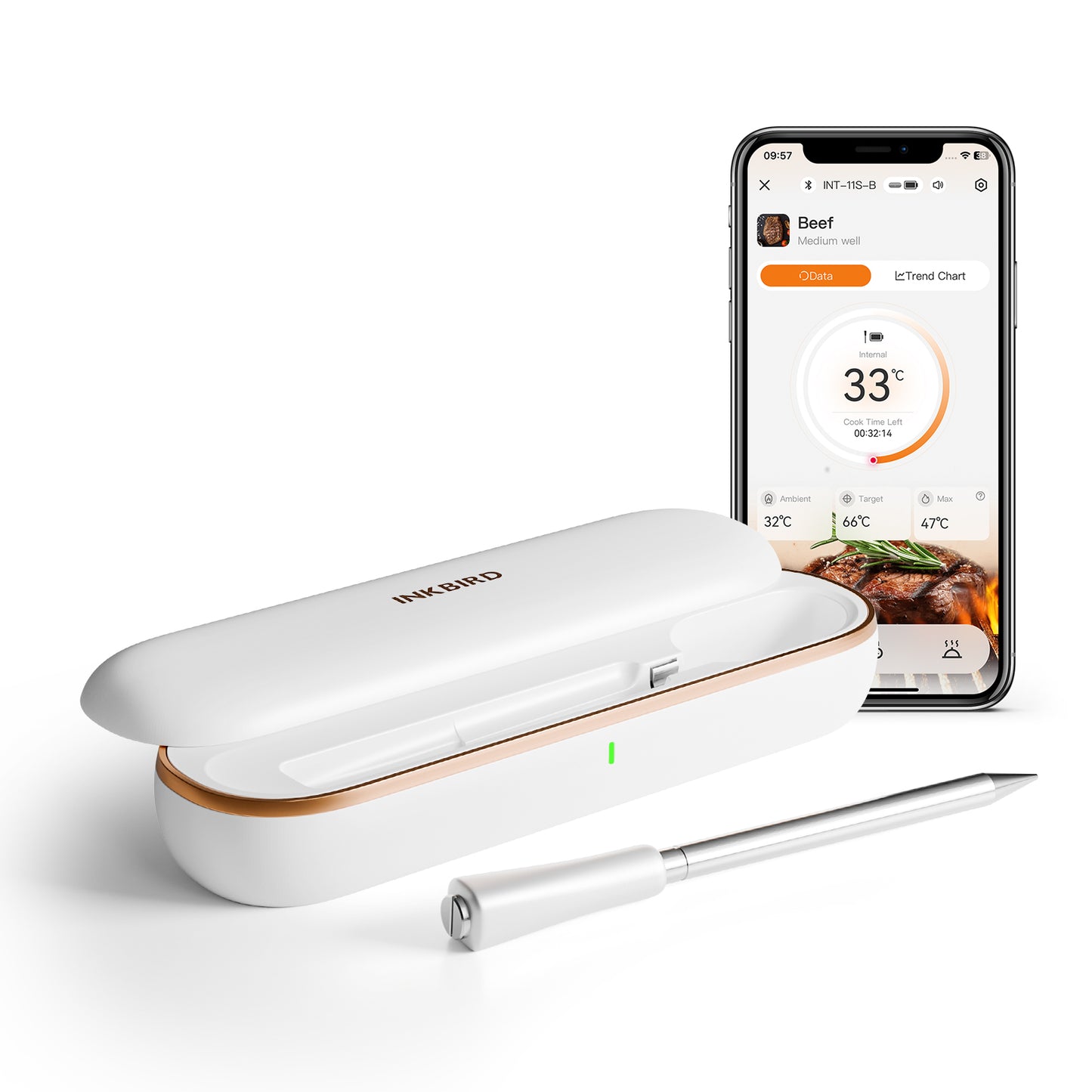 INT-11S-B Meat Thermometer on the Table