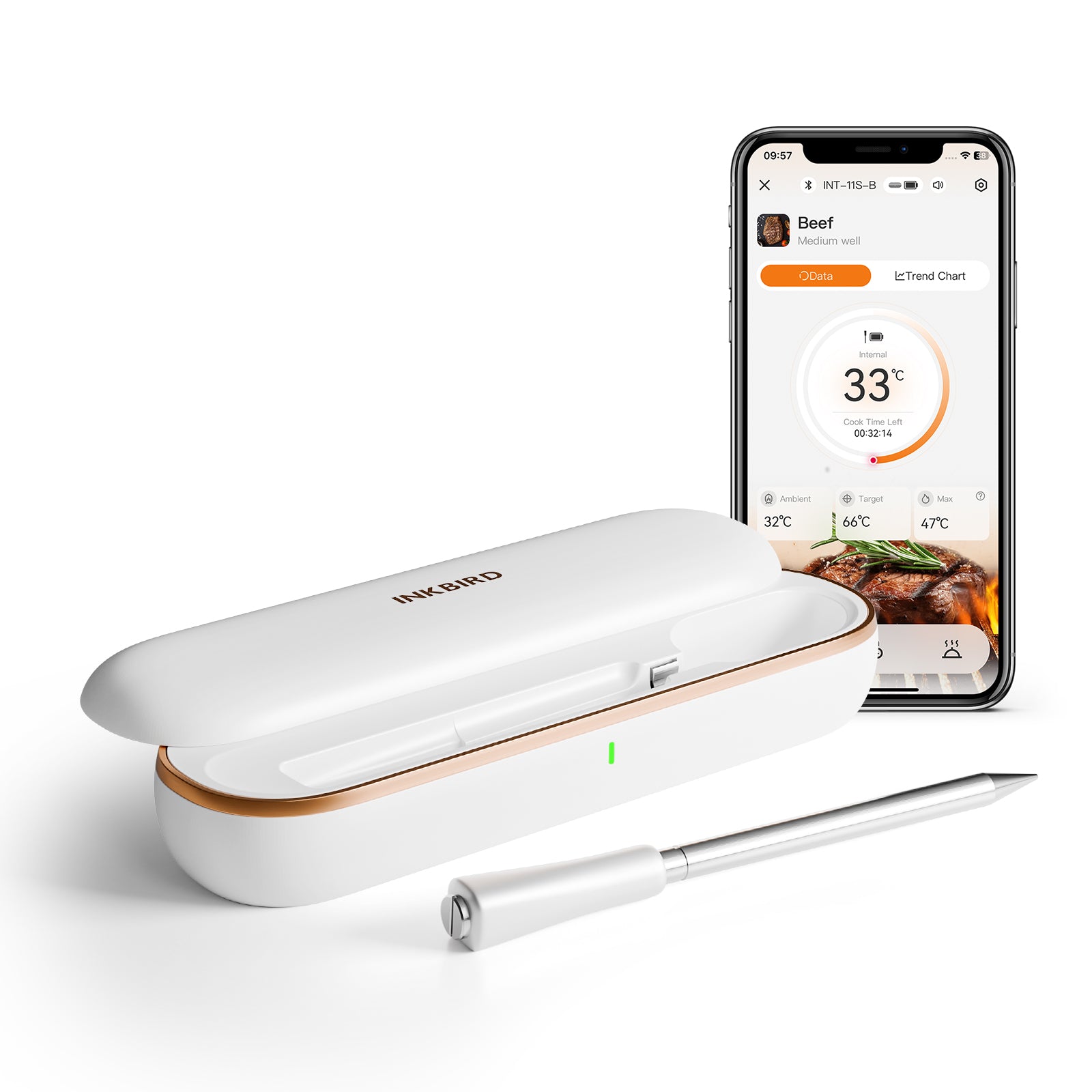 INT-11S-B Meat Thermometer on the Table