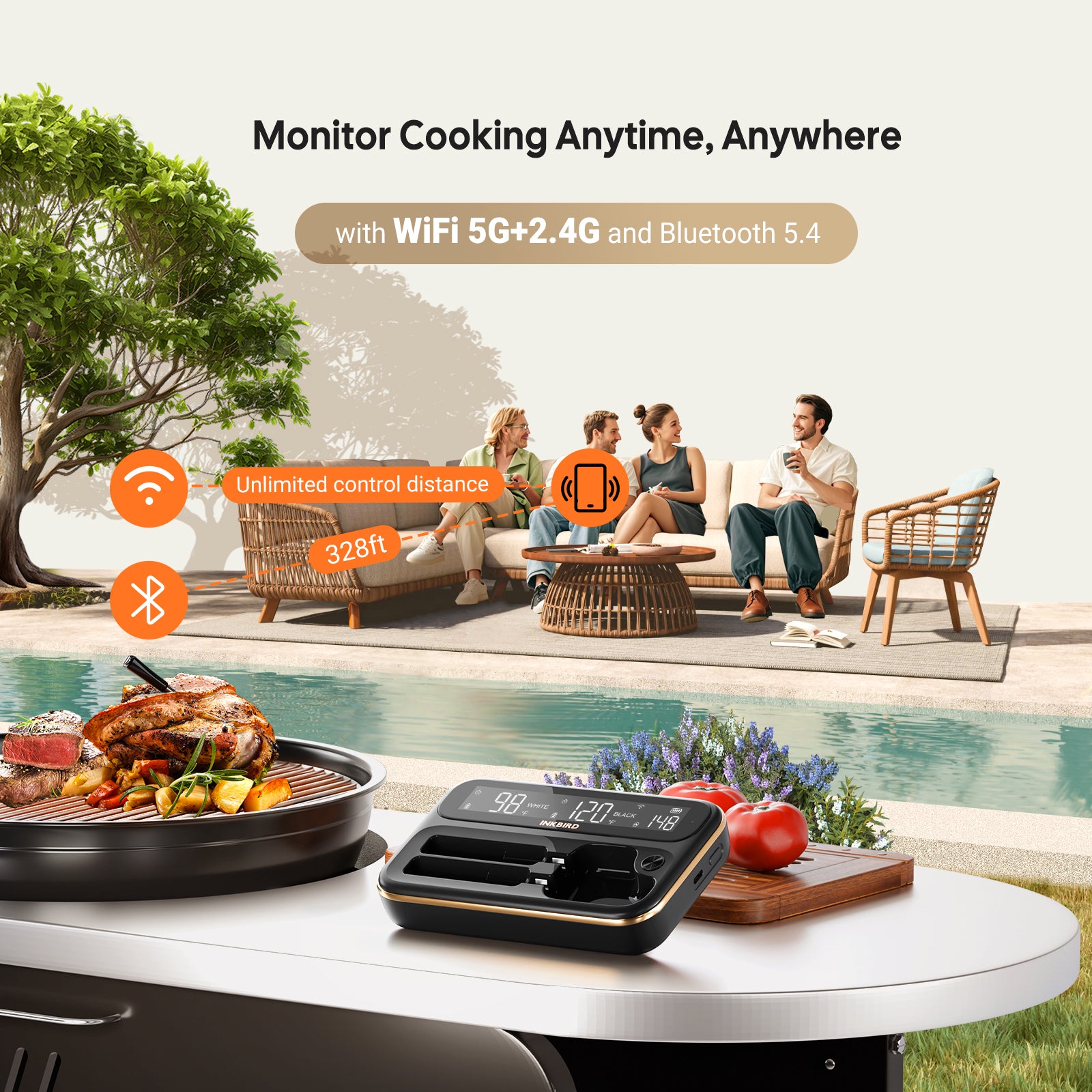 INT-12-BW WiFi/Bluetooth Connection Range