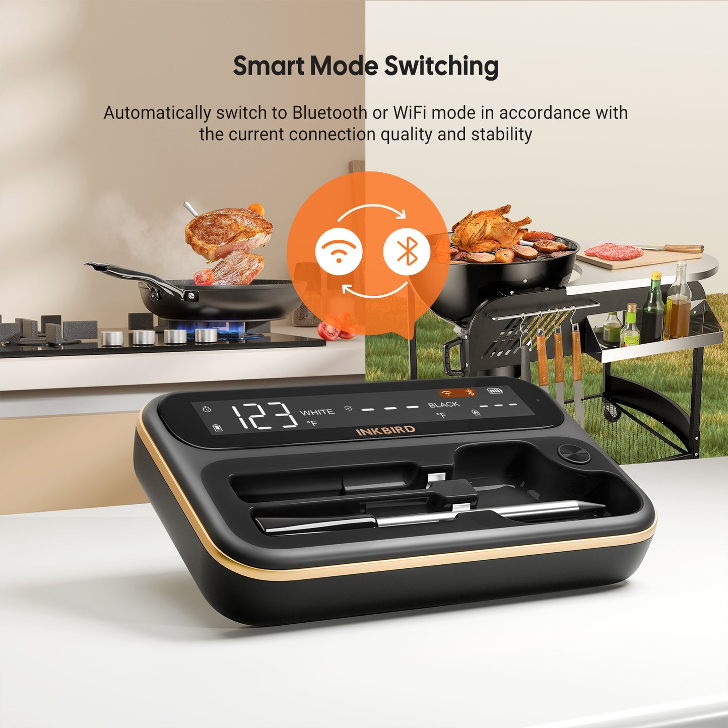 INT-12-BW WiFi/Bluetooth Smart Mode Switching