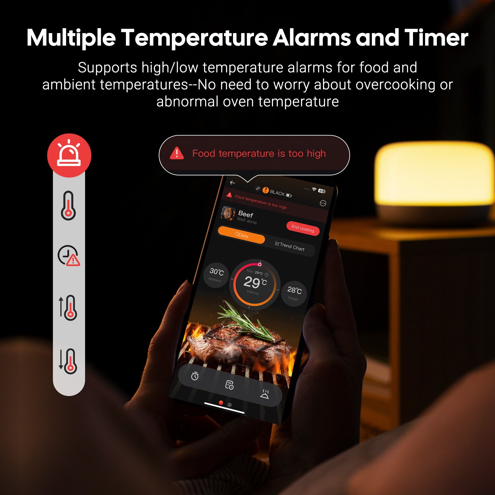 INT-12E-BW Multiple Temperature Alarms and Timer