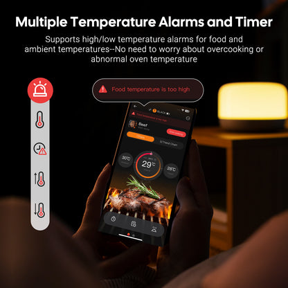 INT-12E-BW Multiple Temperature Alarms and Timer