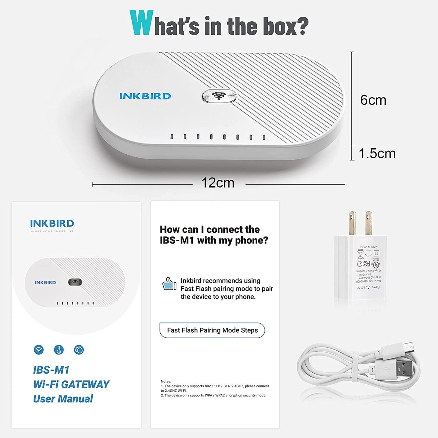 Wi-Fi Gateway IBS-M1