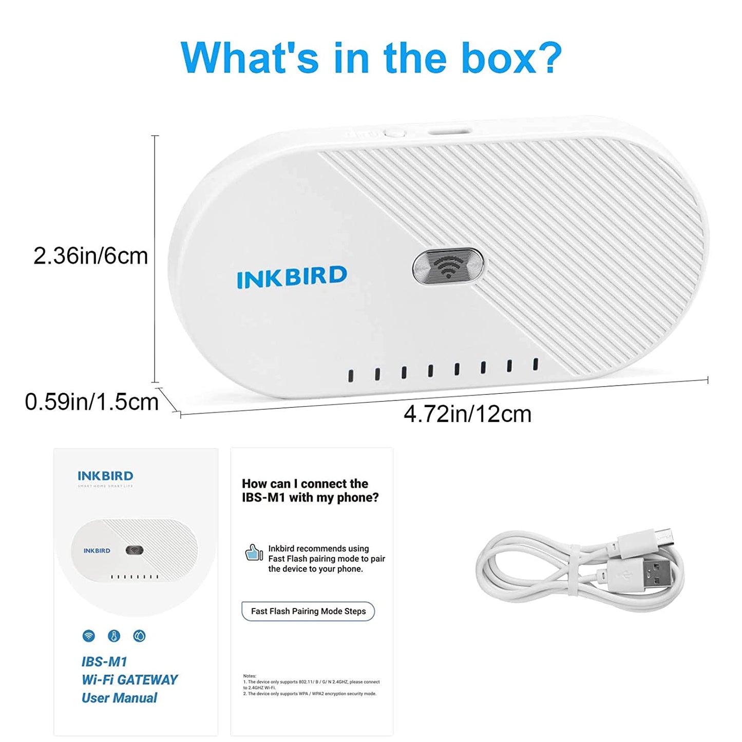 Wi-Fi Gateway IBS-M1