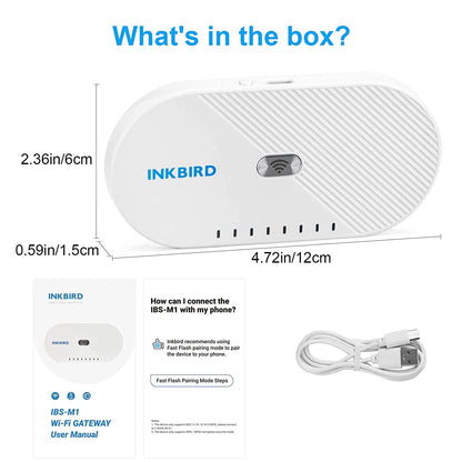 Wi-Fi Gateway IBS-M1