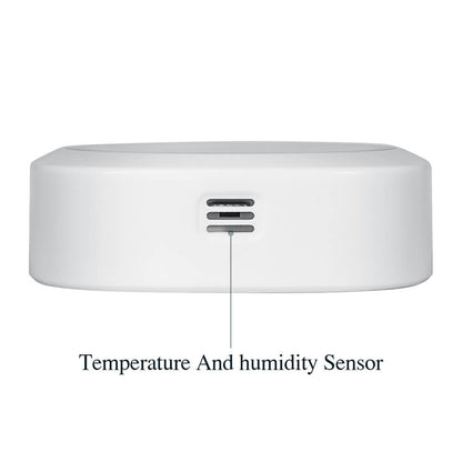 IBS-TH1 Plus Sensor