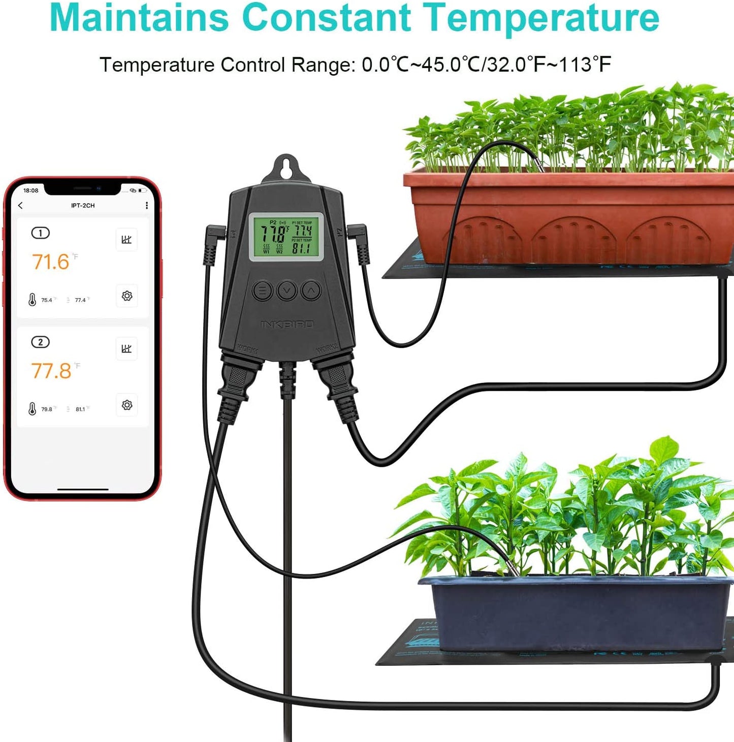 Wi-Fi Reptile Thermostat IPT-2CH