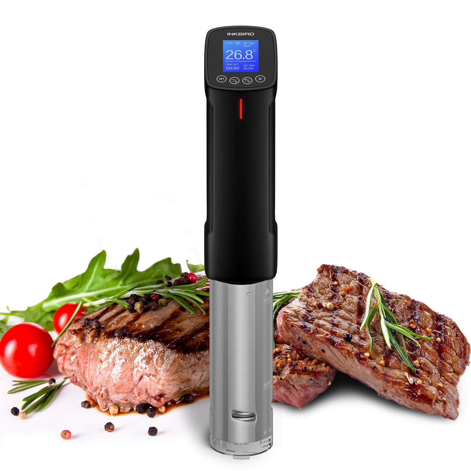 ISV-100W Immersion Circulator with Steaks
